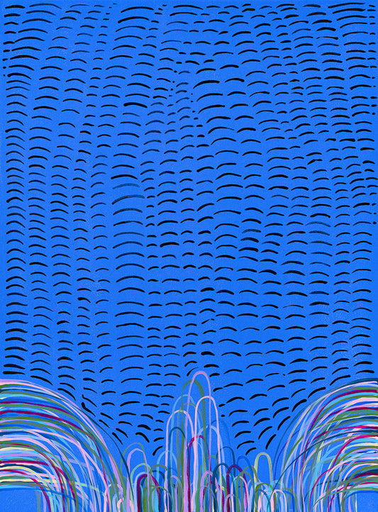 Murmurations