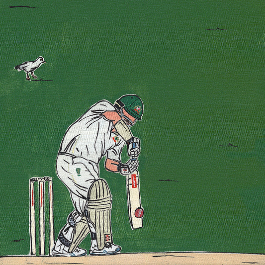 Mr Cricket #29