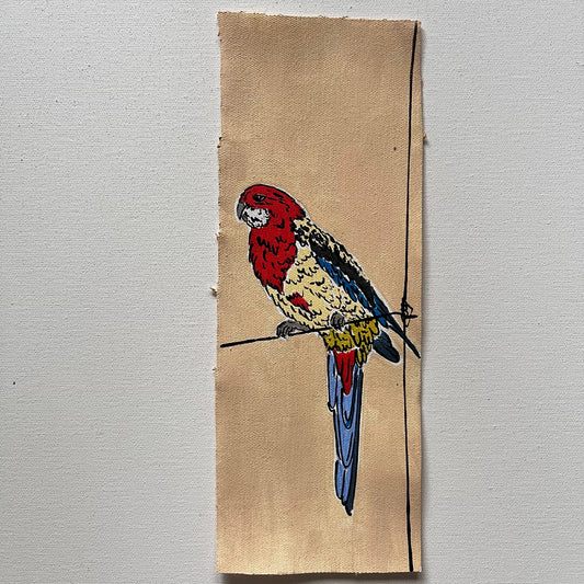 Eastern Rosella  (Loose canvas)