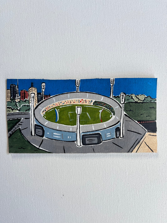 MCG (Loose canvas)