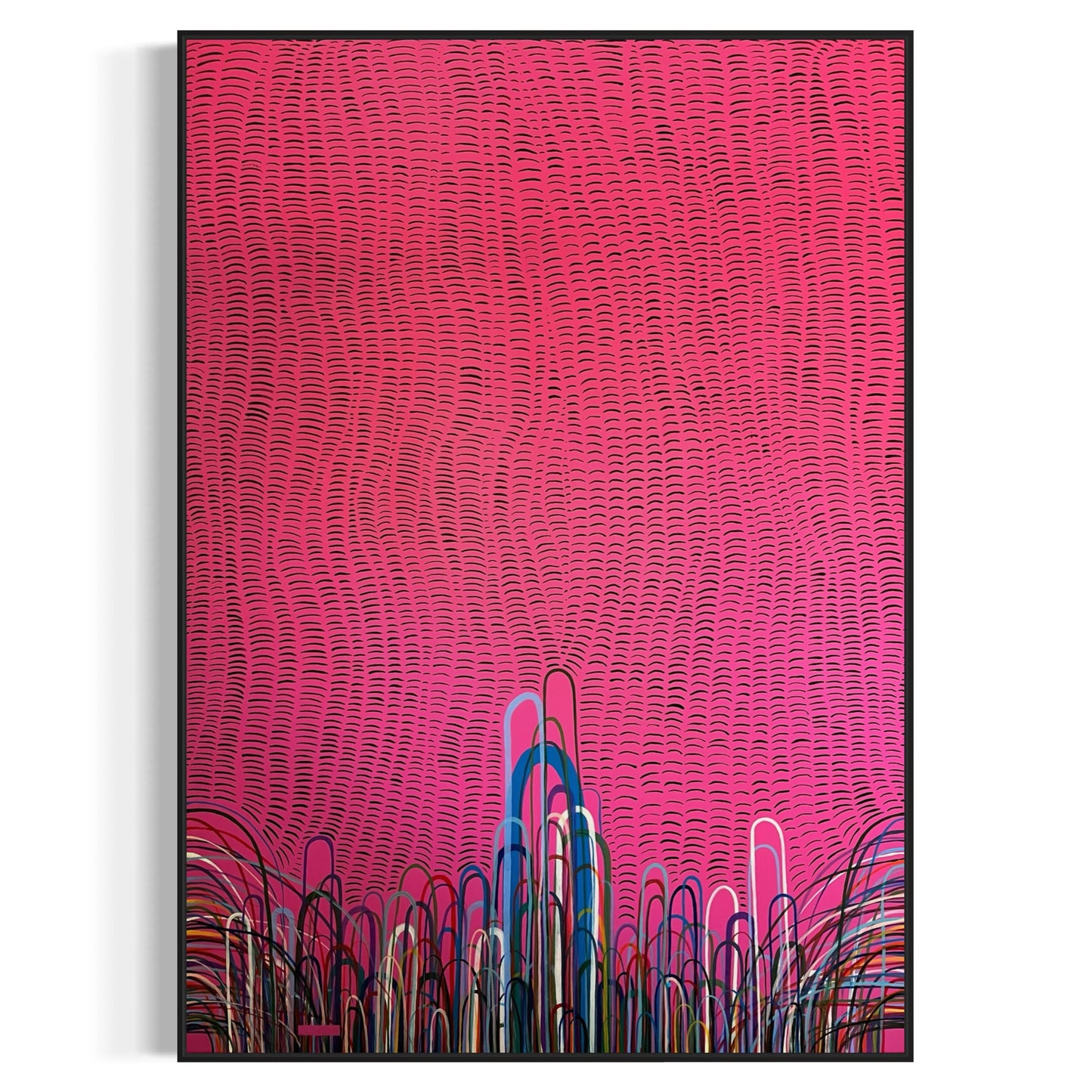 Murmurations