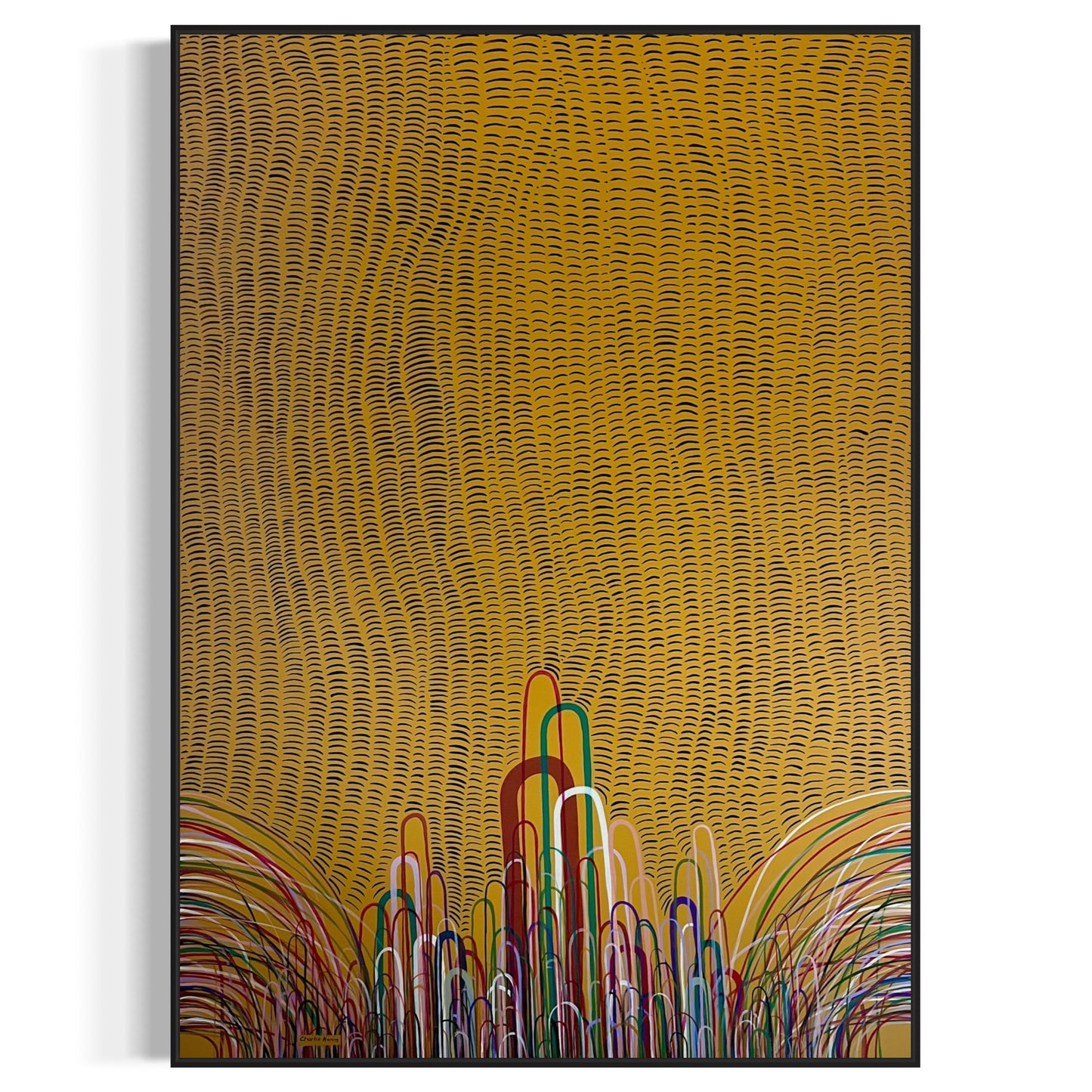 Murmurations